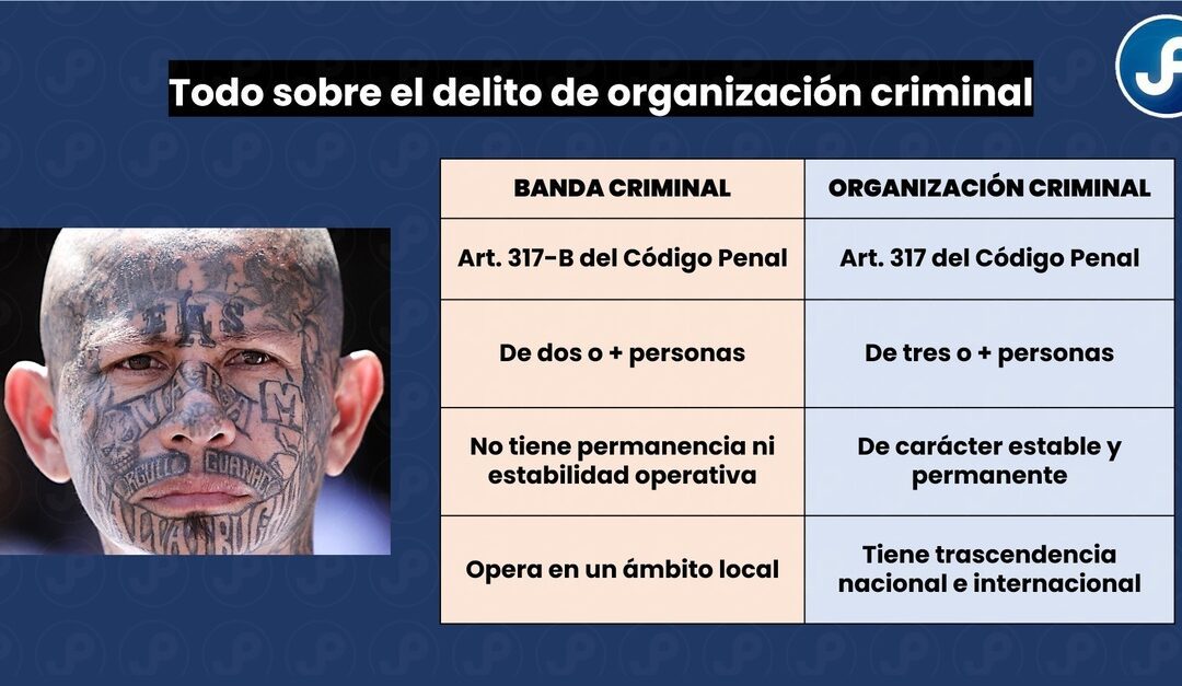 El delito de organización criminal en nuestra legislación (art. 317 CP). Bien explicado