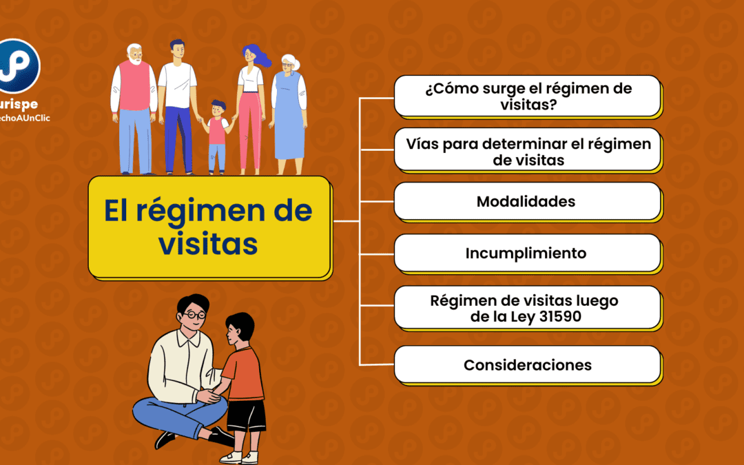 Régimen de visitas: concepto, modalidades, demanda, incumplimiento. Bien explicado