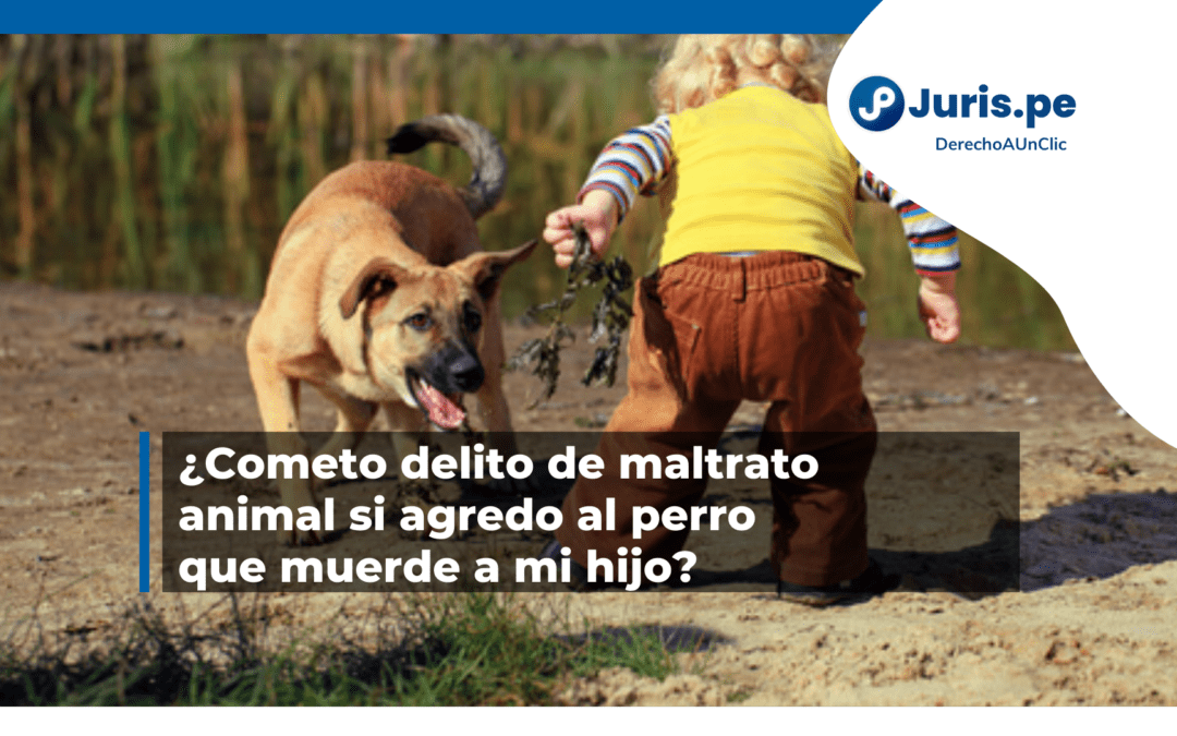 ¿Cometo delito de maltrato animal si ataco al perro que muerde a mi hijo?