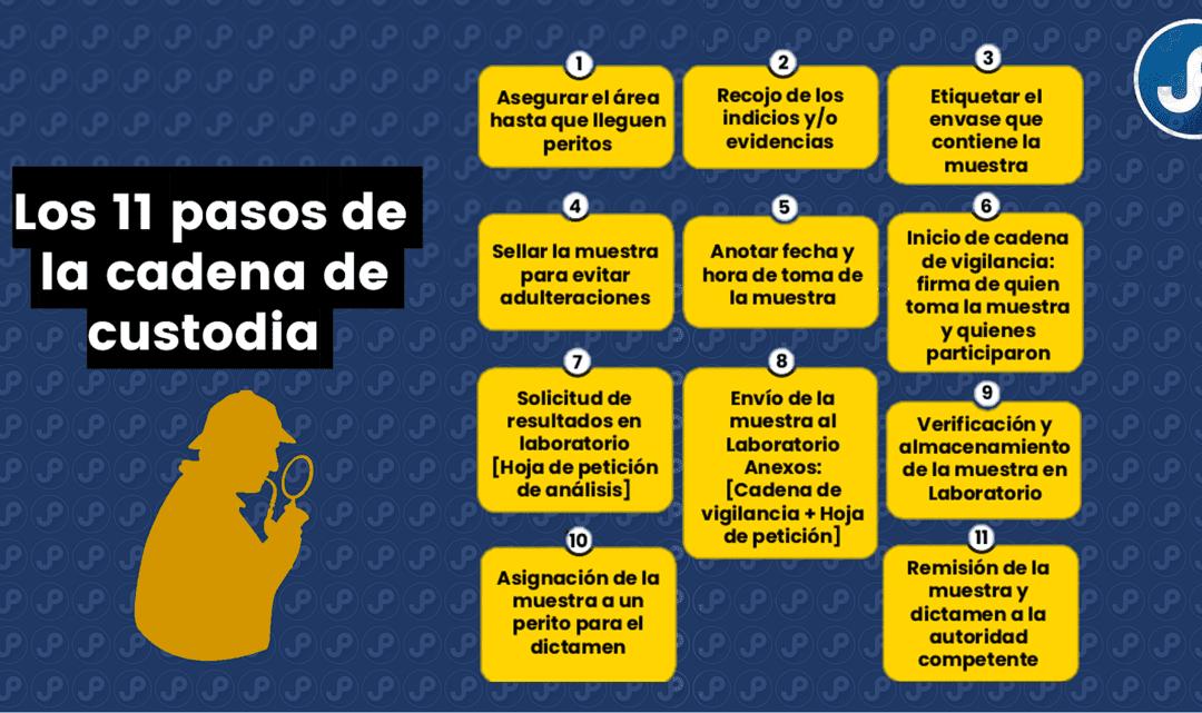 Los 11 pasos o etapas de la cadena de custodia. Bien explicado