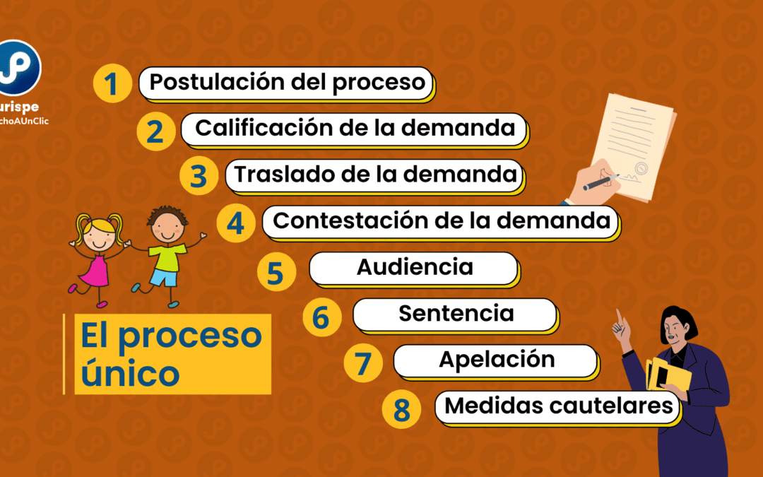 Proceso único: alimentos, patria potestad, régimen de visitas, etc. Bien explicado con esquemas