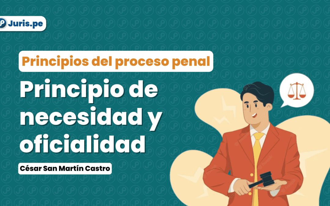 ¿Qué es el principio de necesidad y el principio de oficialidad en el proceso penal?