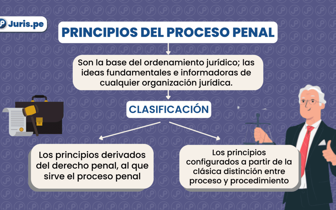 Principios del proceso penal. Bien explicado por César San Martín Castro