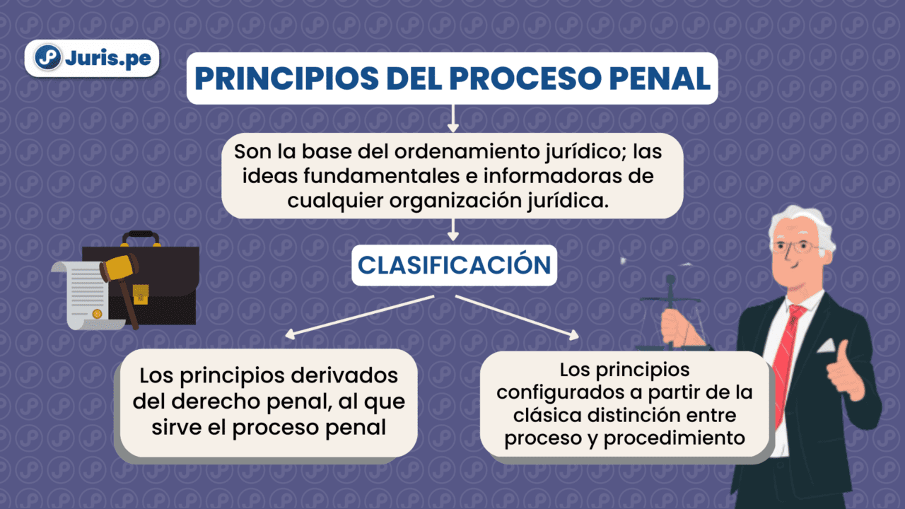 Principios Del Proceso Penal Bien Explicado Por César San Martín Castro Jurispe 1213