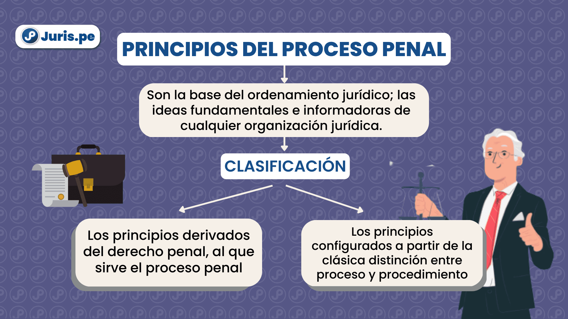 Principios del proceso penal. Bien explicado por César San Martín Castro