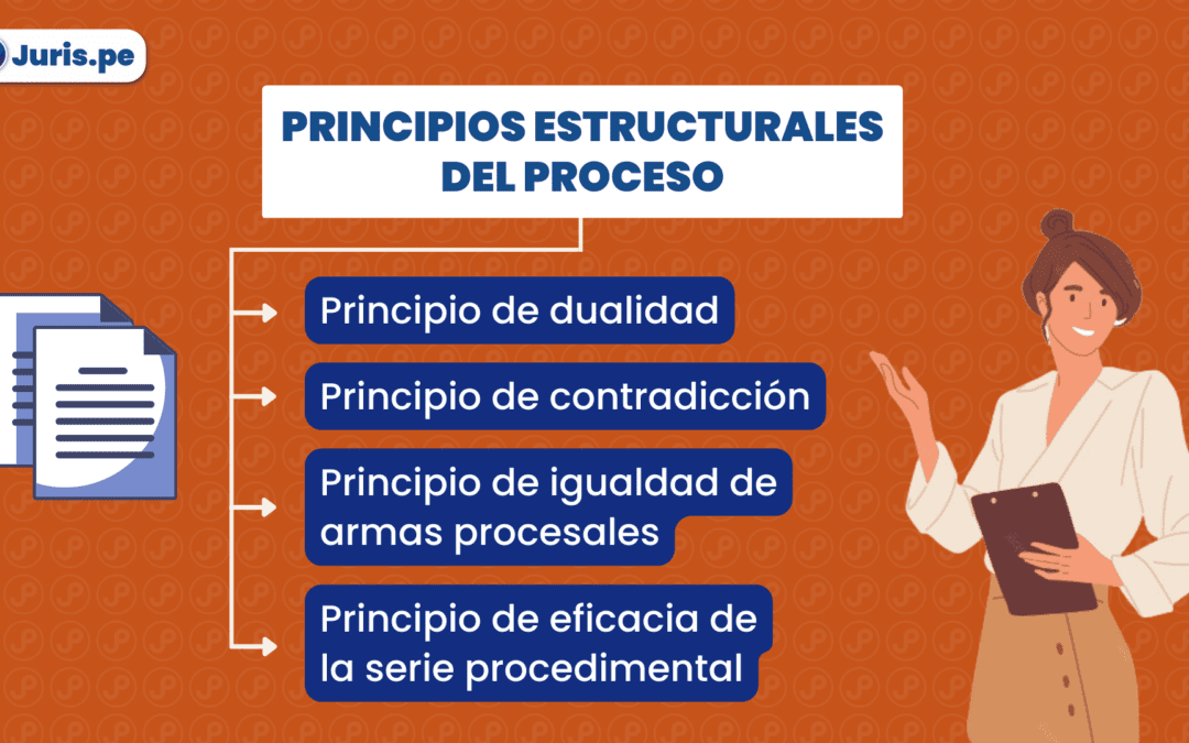 Principios estructurales del proceso. Bien explicado por César San Martín Castro