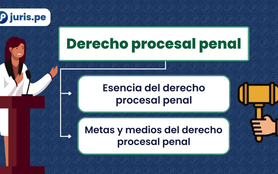 Esencia, metas y medios del derecho procesal penal. Bien explicado