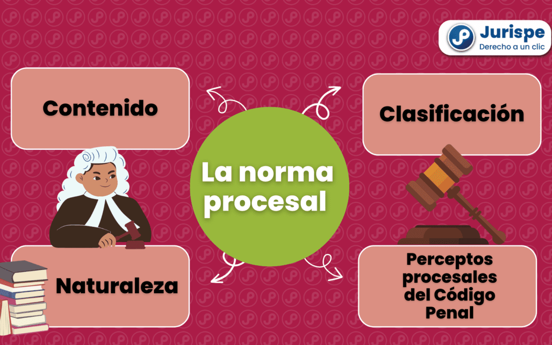 ¿Qué es la norma procesal penal y cómo se aplica?