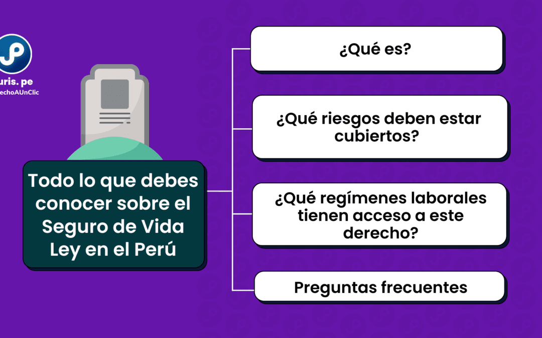 Todo lo que debes conocer sobre el seguro de vida ley (actualizado 2023)