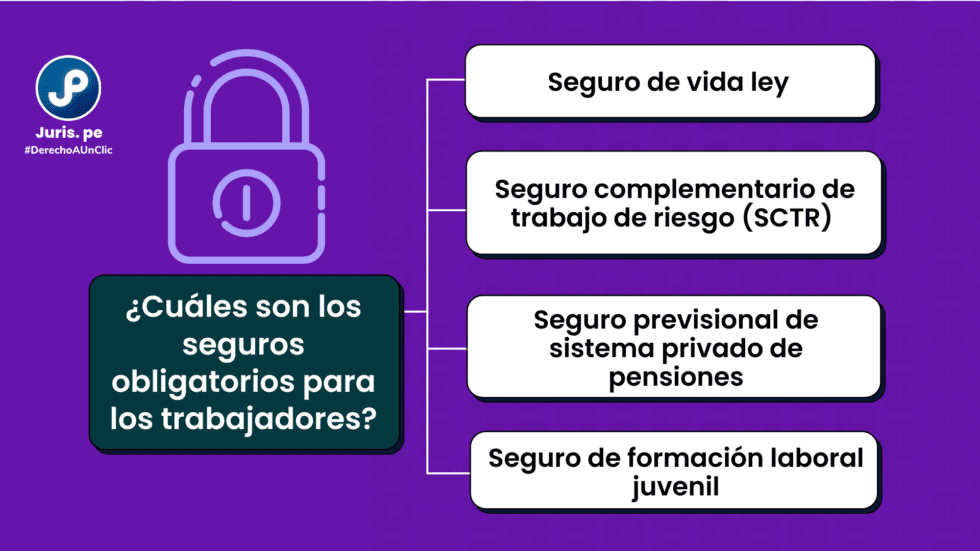 Seguros Para Trabajadores: ¿qué Seguros Debe De Tener Un Trabajador ...