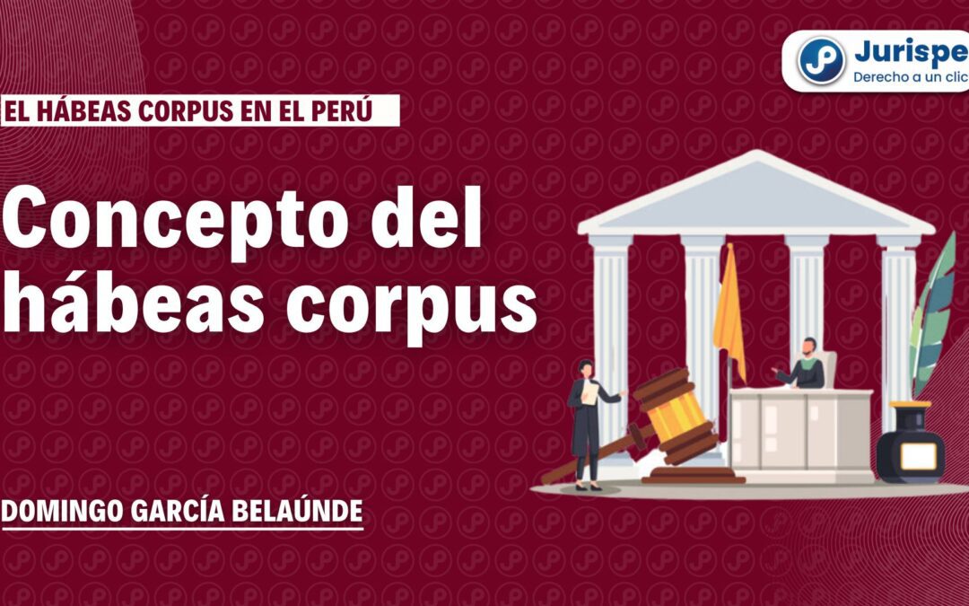 Concepto normativo del hábeas corpus