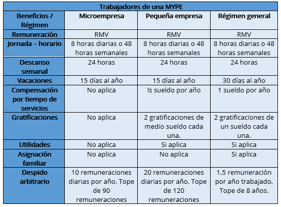 Mype Todo Sobre El Régimen Laboral De La Micro Y Pequeña Empresa Actualizado 2023 Jurispe 9000