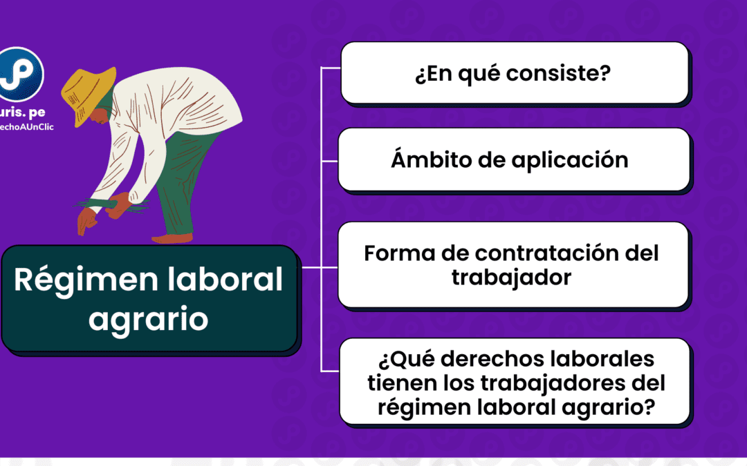 Todo lo que debes conocer sobre el régimen laboral agrario