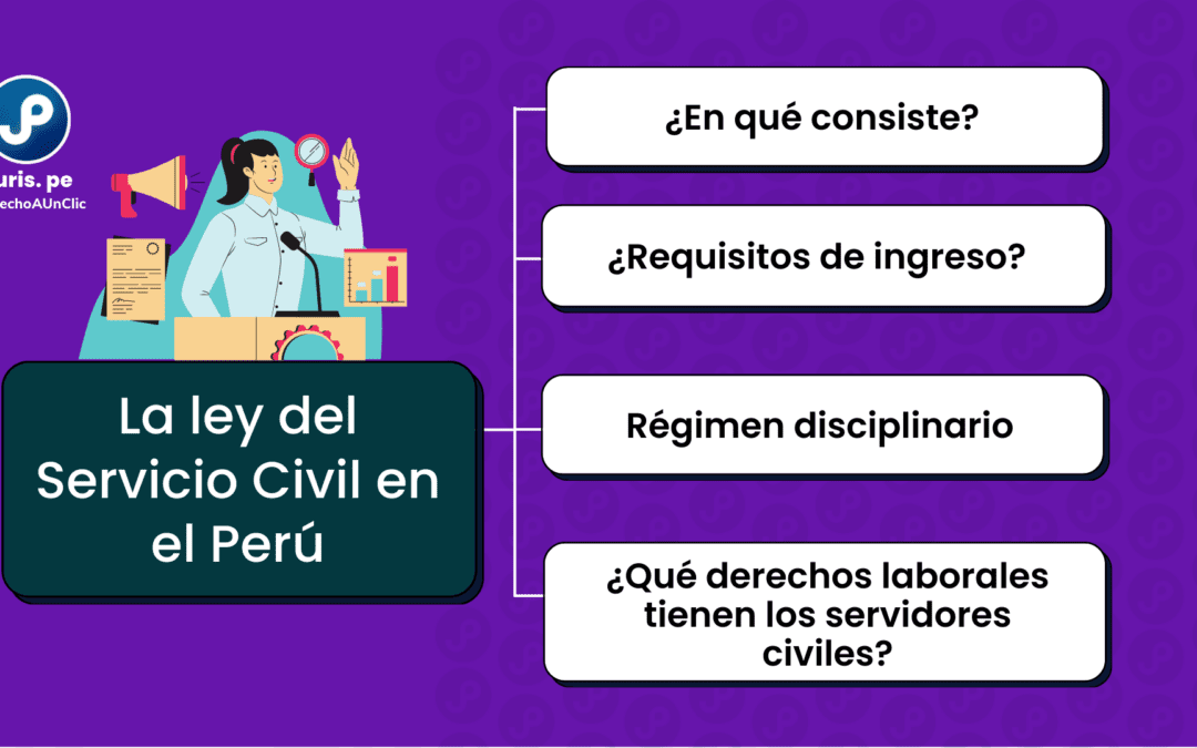 Lo que debes saber sobre el régimen del servicio civil (actualizado 2023)