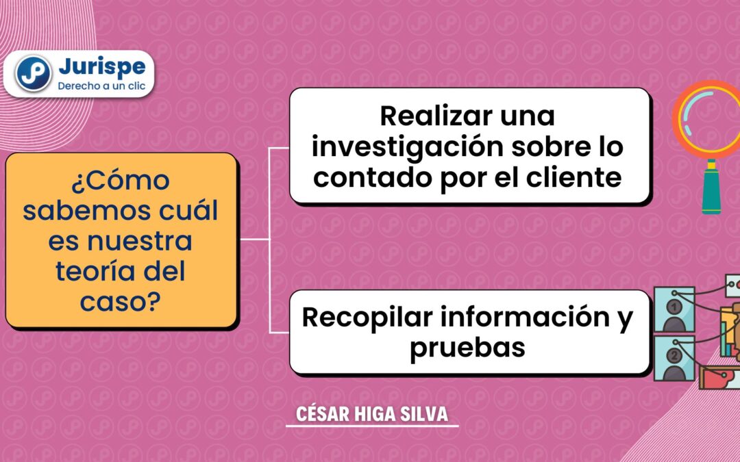 ¿Cómo sabemos cuál es nuestra teoría del caso?