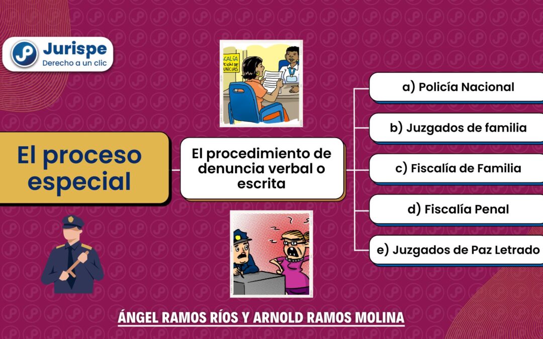 La denuncia en el proceso especial (violencia contra las mujeres e integrantes del grupo familiar)