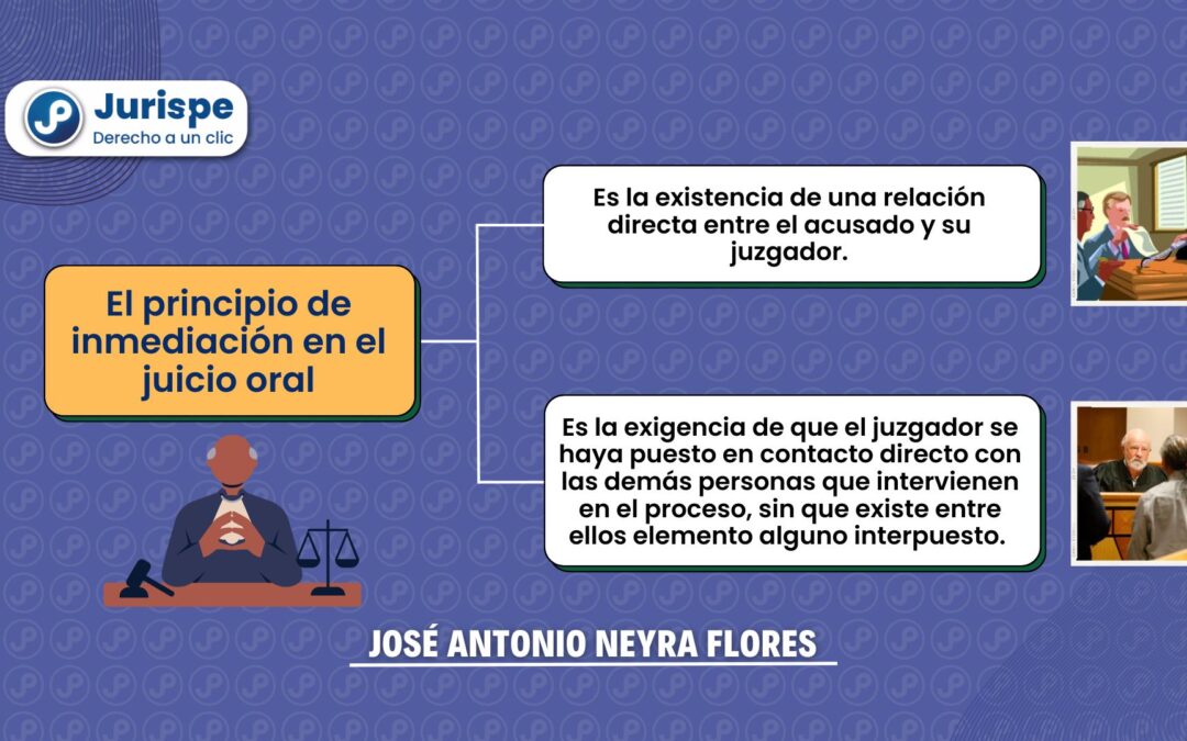 ¿Qué es el principio de la inmediación?