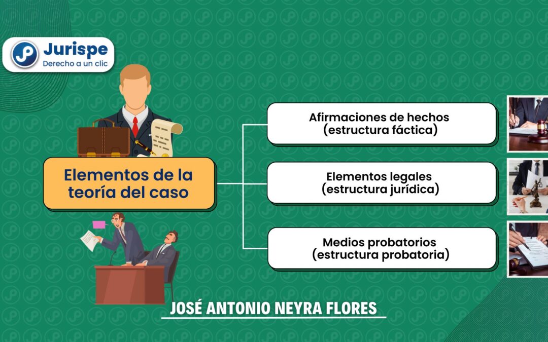 ¿Cuáles son los elementos de la teoría del caso?