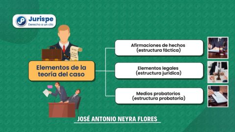 ¿Cuáles Son Los Elementos De La Teoría Del Caso? | Juris.pe