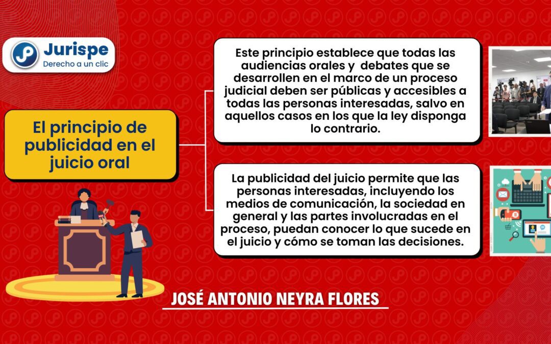 ¿Qué es el principio de publicidad en el proceso penal?