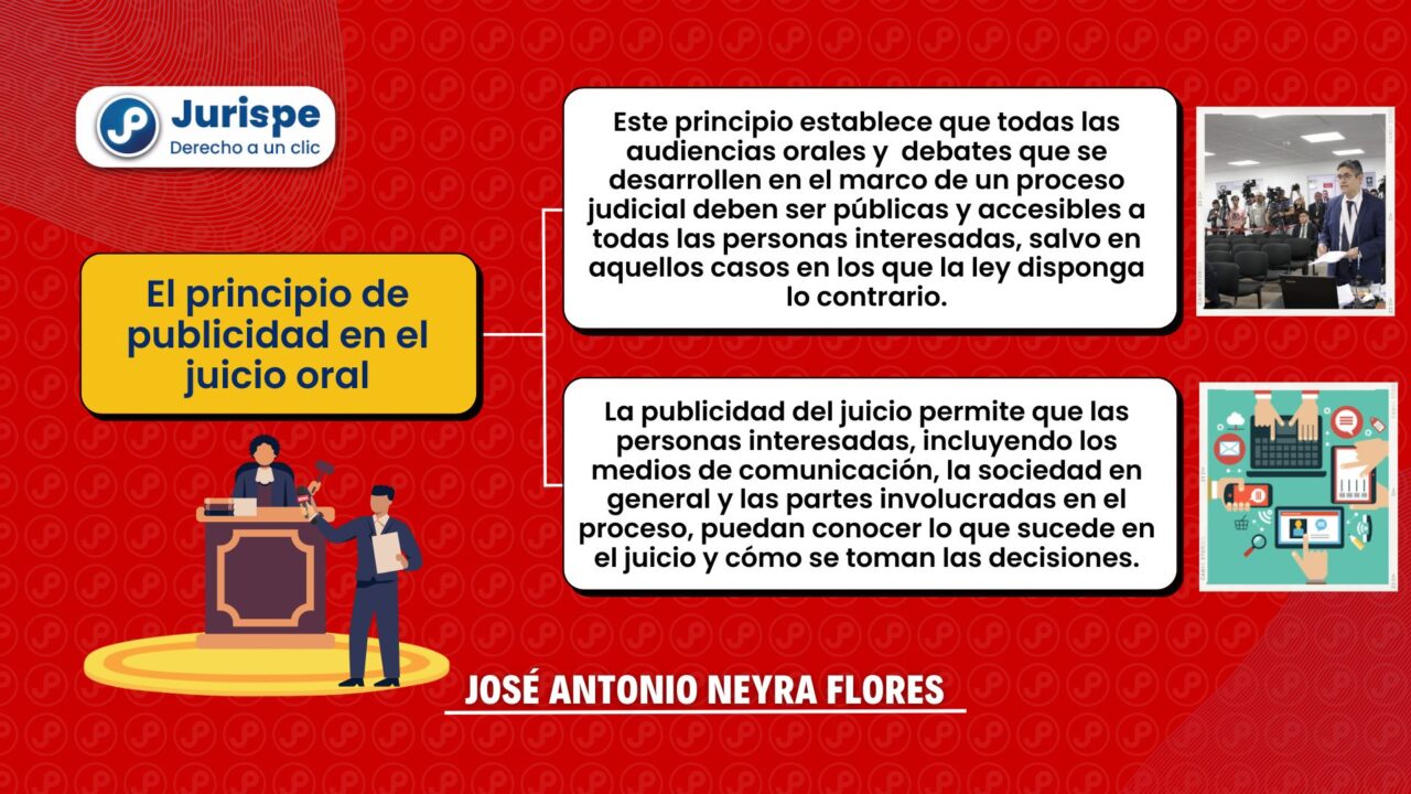 ¿Qué es el principio de publicidad en el proceso penal? | Juris.pe