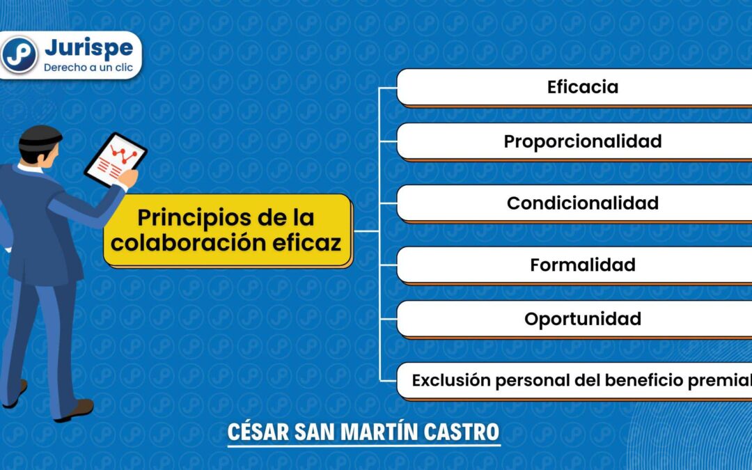 ¿Qué principios rigen la colaboración eficaz? Bien explicado