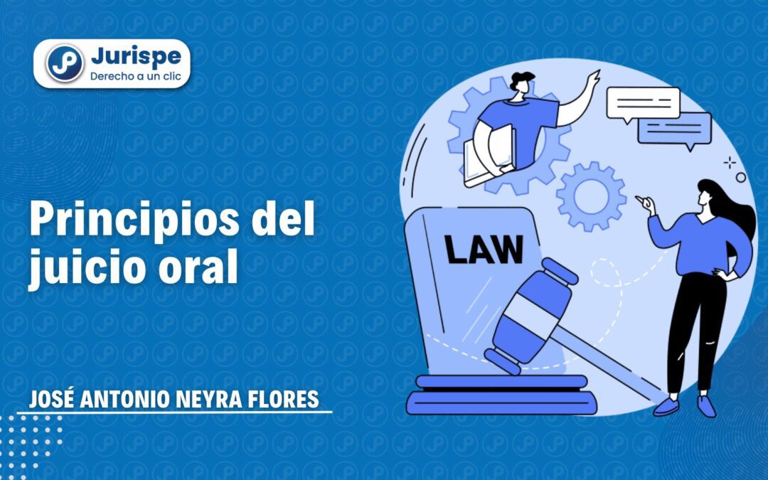 ¿Qué son los principios del juicio oral?