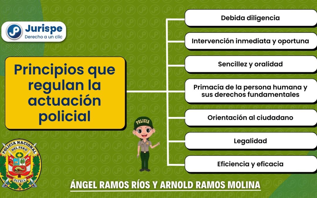 Principios que regulan la actuación policial en casos de violencia contra las mujeres e integrantes del grupo familiar