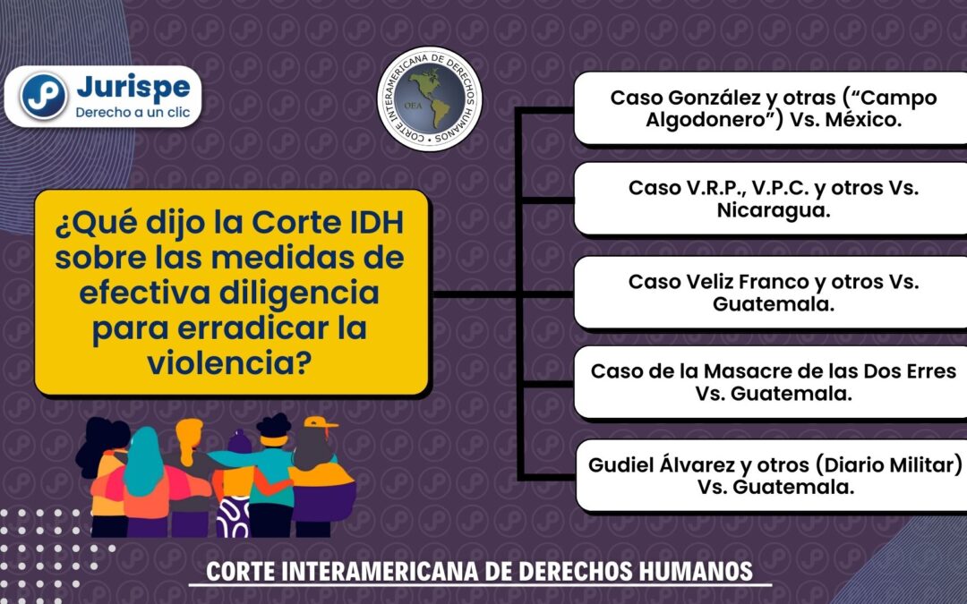 ¿Qué dijo la Corte IDH sobre las medidas de efectiva diligencia para erradicar la violencia?