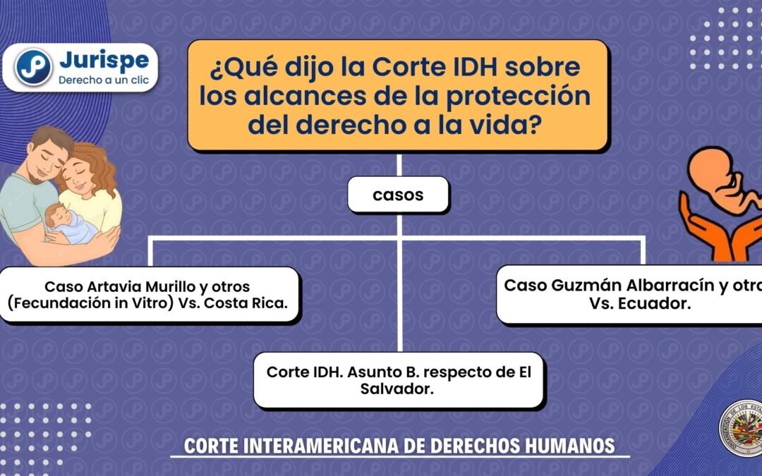 ¿Qué dijo la Corte IDH sobre los alcances de la protección del derecho a la vida?