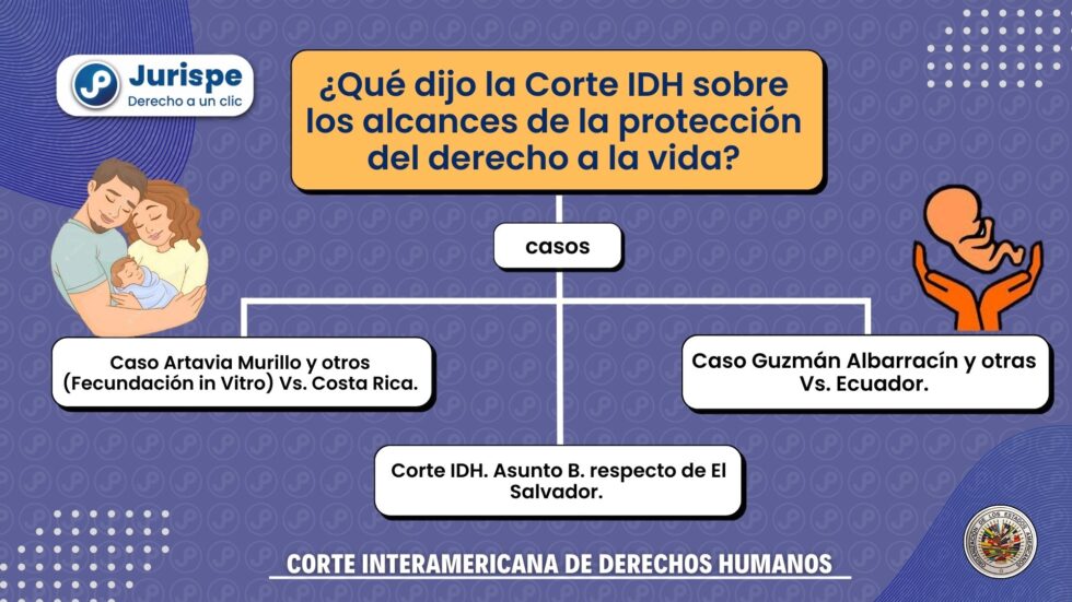 Qu Dijo La Corte Idh Sobre Los Alcances De La Protecci N Del Derecho