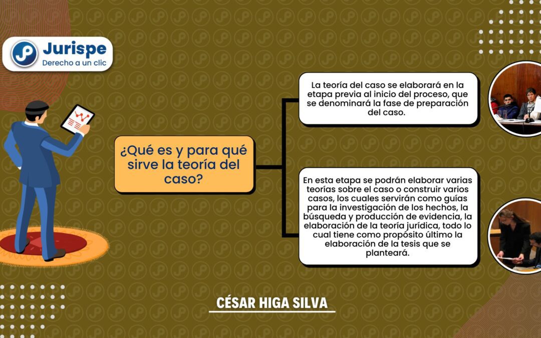 ¿Qué es y para qué sirve la teoría del caso?