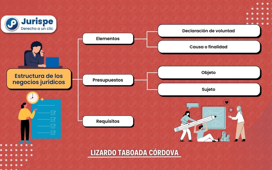 Estructura de los negocios jurídicos. Bien explicado