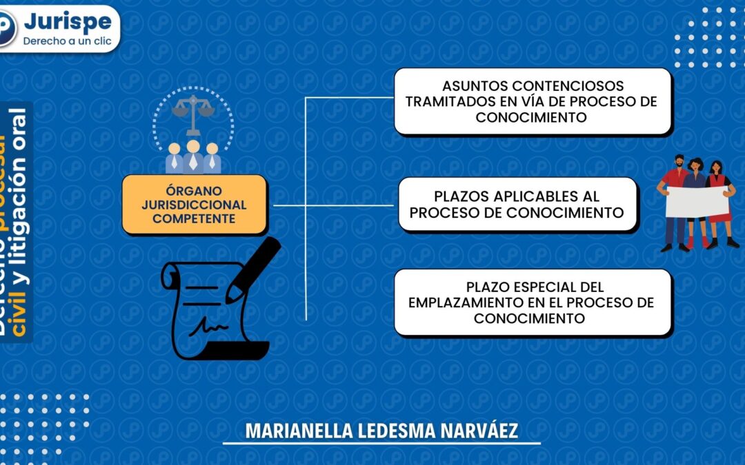 Proceso de conocimiento: reglas, plazos, pretensiones [proceso civil peruano]