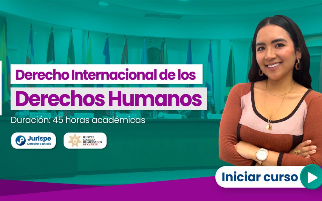 Curso de Derecho Internacional de los Derechos Humanos (S/ 49.90 hasta el 31 de julio)