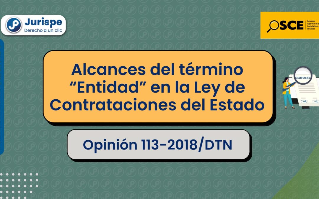 Alcances del término «entidad» en la Ley de Contrataciones del Estado [Opinión 113-2018/DTN]