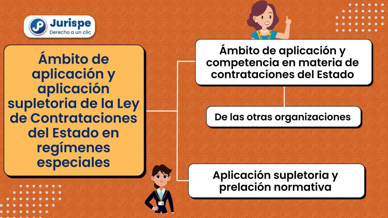 Ámbito De Aplicación Y Aplicación Supletoria De La Ley De ...