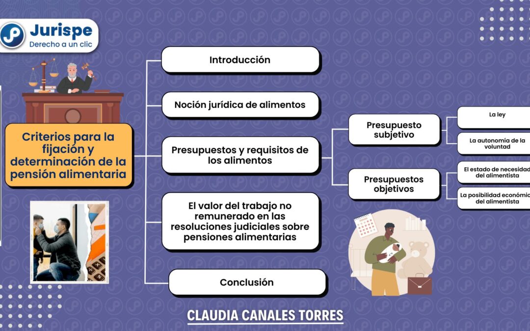 Criterios para la fijación y determinación de la pensión alimentaria