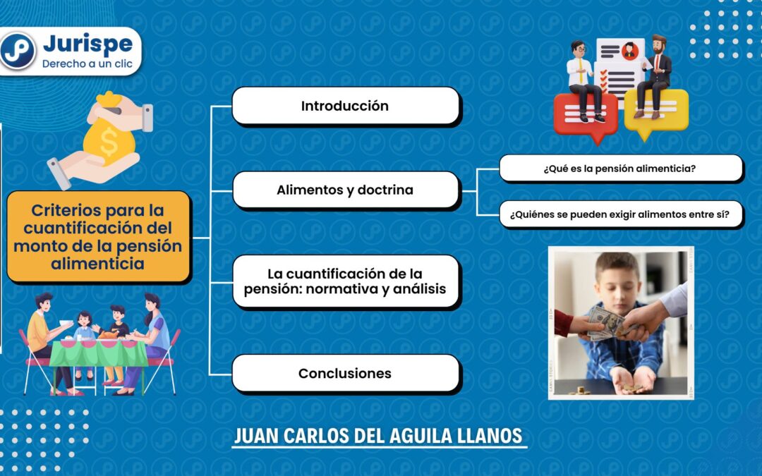 Criterios para la cuantificación del monto de la pensión alimenticia