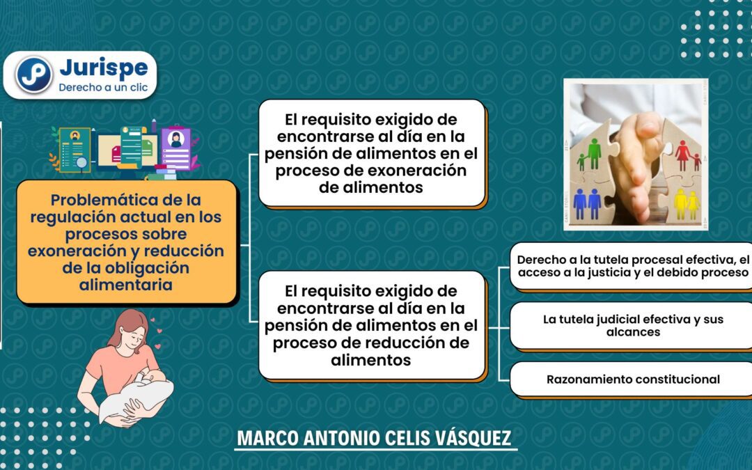 Problemas en los procesos de exoneración y reducción de la pensión alimentaria