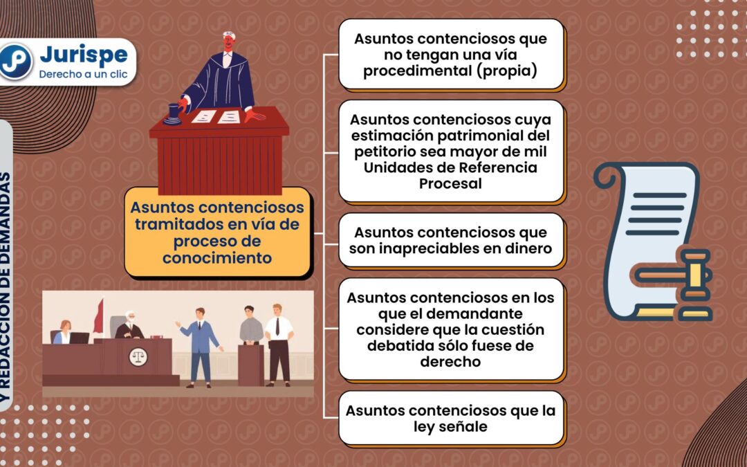 ¿Qué asuntos se tramitados en la vía de proceso de conocimiento?