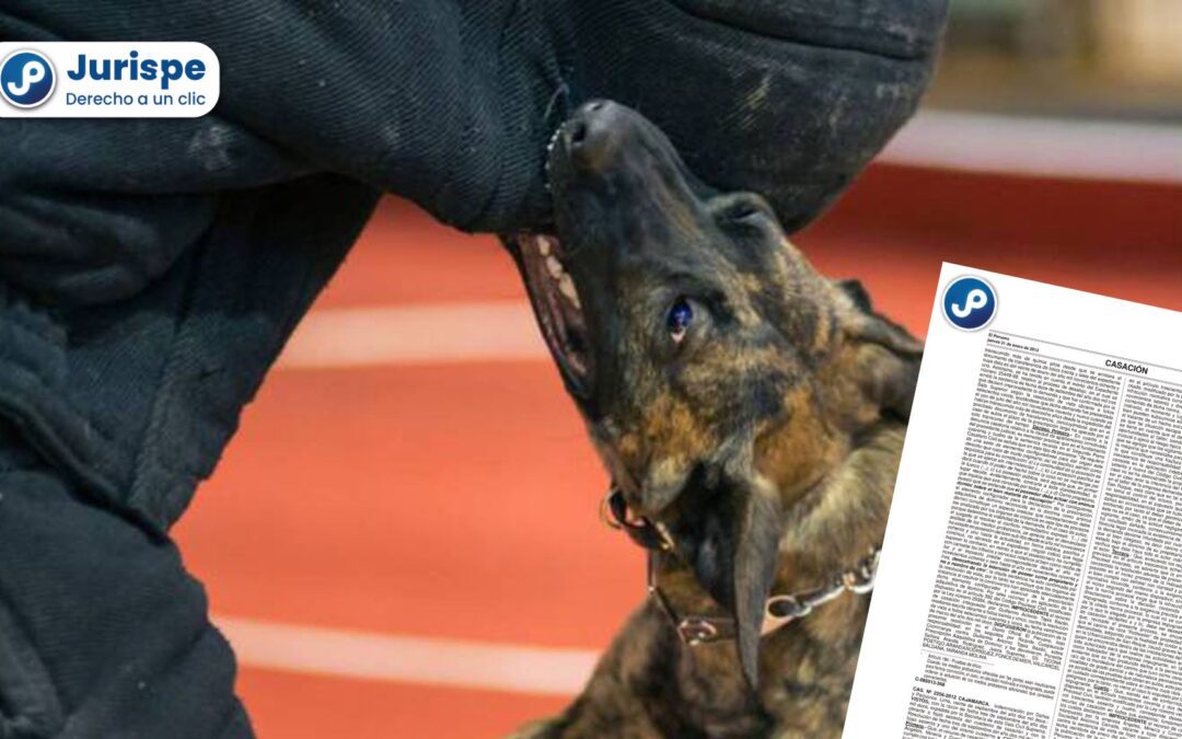 Empresa deberá indemnizar por lesiones que causó su perro ‘rottweiler’ [Casación 2256-2012, Cajamarca]