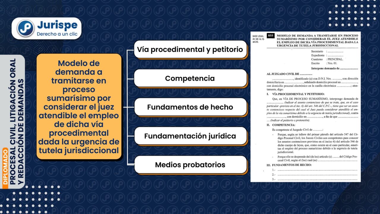 Modelo de demanda a tramitarse en proceso sumarísimo por considerar el