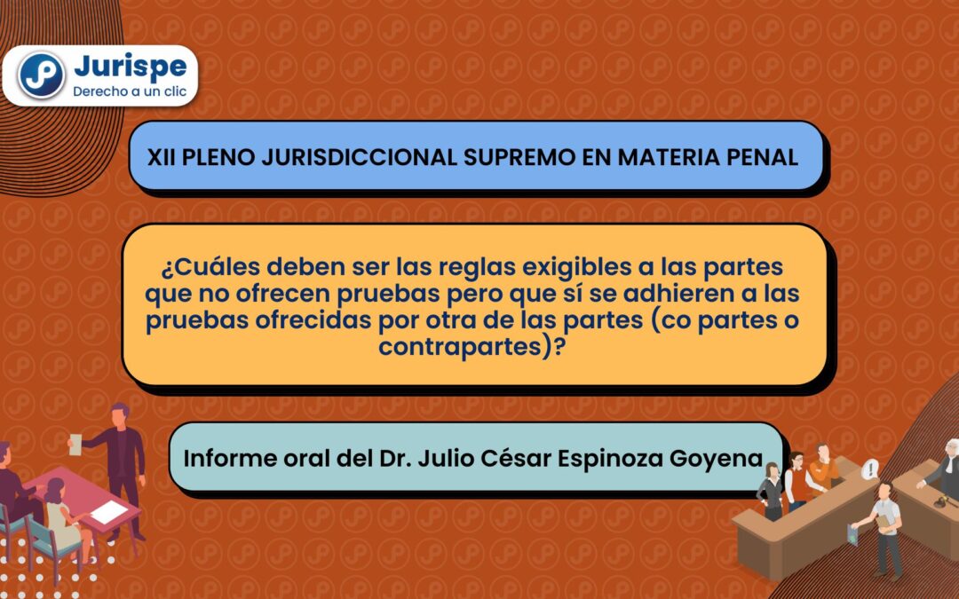¿Cuáles deben ser las reglas exigibles a las partes que no ofrecen pruebas pero que sí se adhieren a las pruebas ofrecidas por otra de las partes (co partes o contrapartes)?