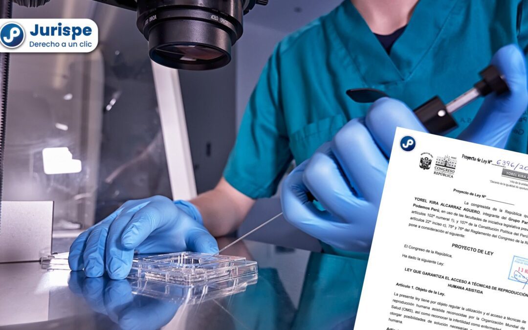 Plantean reconocer la infertilidad como enfermedad y garantizar el acceso a técnicas de reproducción asistida