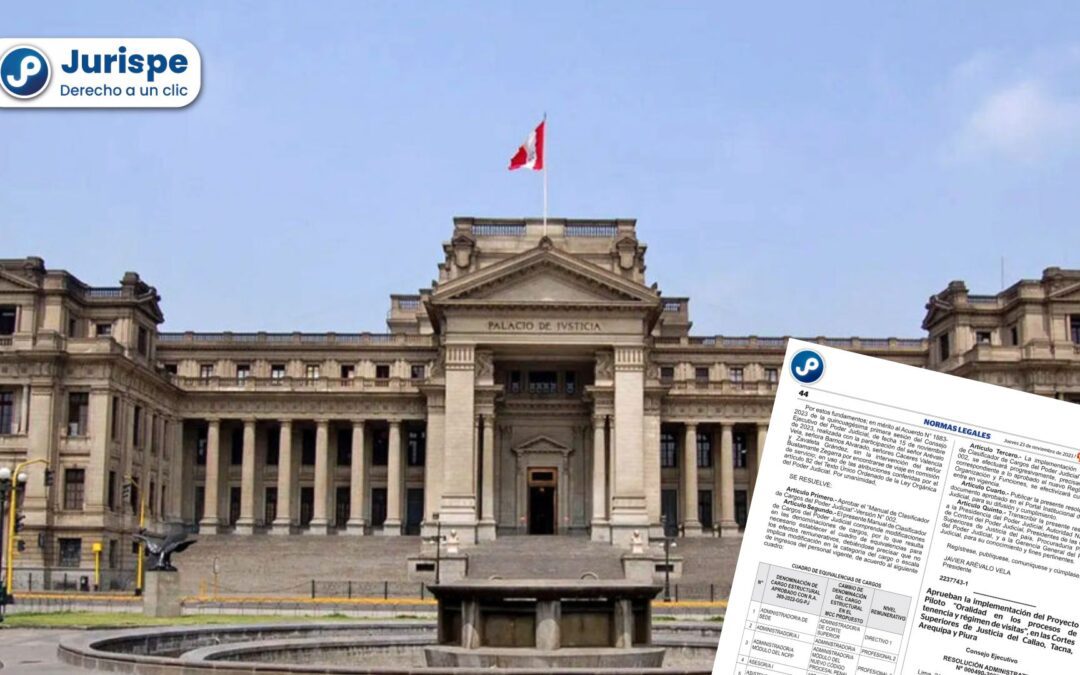 ¡Atención, litigantes! Implementarán la oralidad en casos de tenencia y régimen de visitas en estas cortes [RA 000490-2023-CE-PJ]
