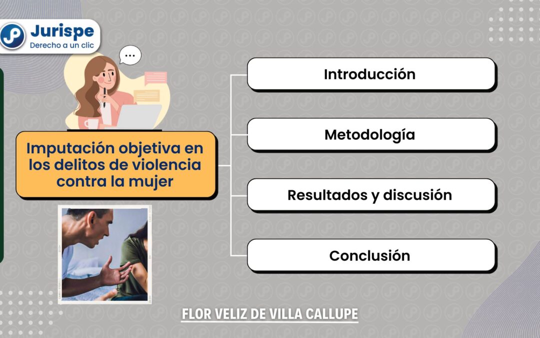 Imputación objetiva en los delitos de violencia contra la mujer