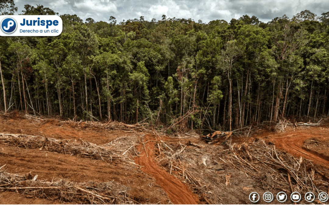 Diferencia entre delito de contaminación ambiental e infracción administrativa [Acuerdo Plenario 02.B-2023]