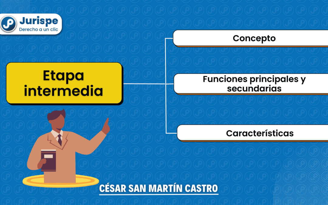 Etapa intermedia en el proceso penal: definición y funciones. Bien explicado