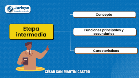 Etapa intermedia en el proceso penal: definición y funciones. Bien